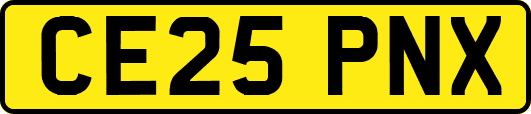CE25PNX