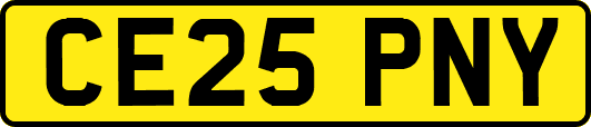 CE25PNY