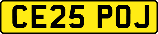 CE25POJ