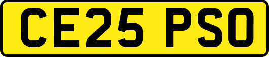 CE25PSO