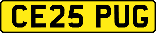 CE25PUG