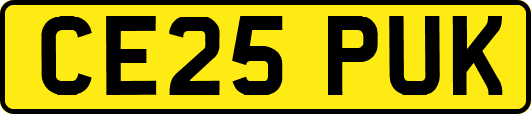 CE25PUK