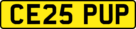 CE25PUP