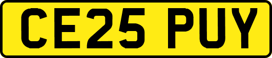 CE25PUY