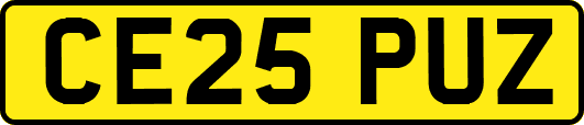 CE25PUZ
