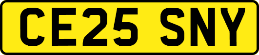 CE25SNY