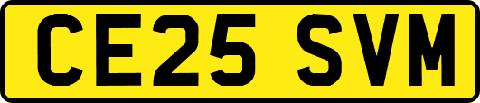 CE25SVM
