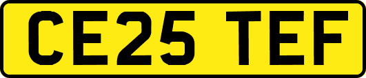 CE25TEF