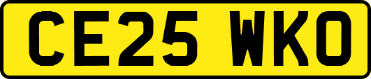 CE25WKO