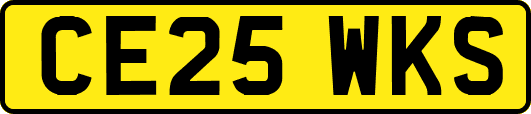 CE25WKS