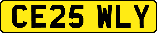 CE25WLY