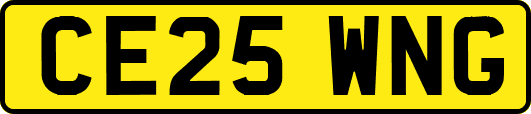 CE25WNG