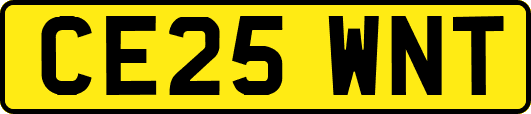 CE25WNT