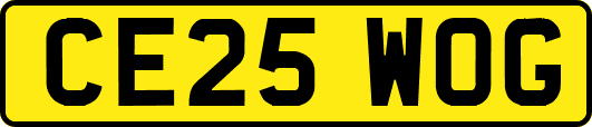 CE25WOG