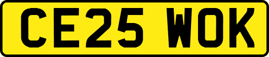 CE25WOK