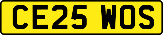 CE25WOS