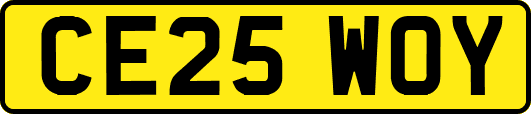 CE25WOY