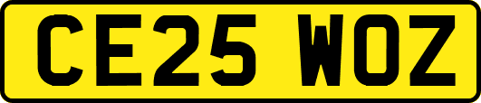 CE25WOZ