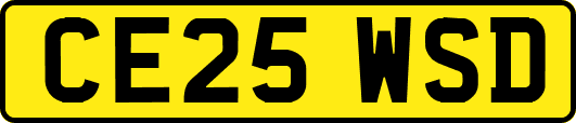 CE25WSD