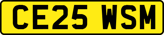 CE25WSM