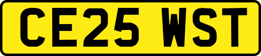 CE25WST