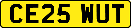 CE25WUT