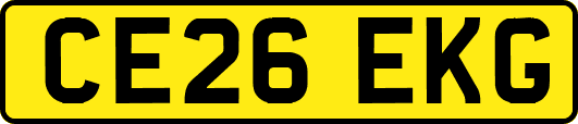 CE26EKG