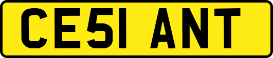 CE51ANT