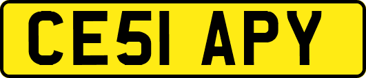 CE51APY