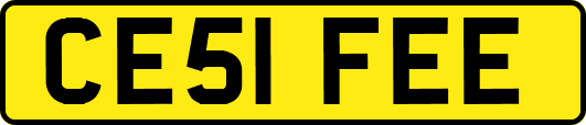 CE51FEE