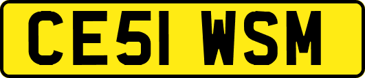 CE51WSM