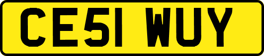 CE51WUY