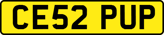 CE52PUP