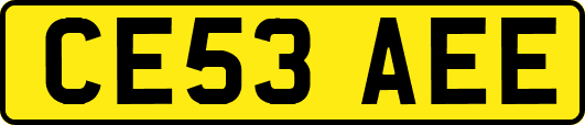 CE53AEE