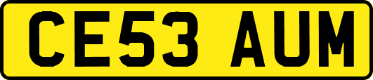 CE53AUM