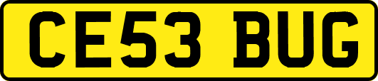 CE53BUG