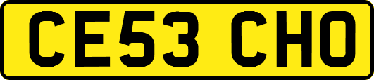 CE53CHO