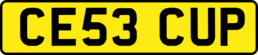 CE53CUP