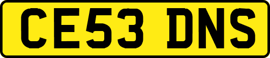 CE53DNS