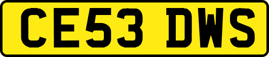 CE53DWS