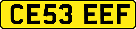 CE53EEF