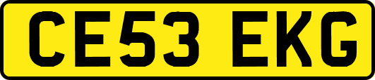 CE53EKG