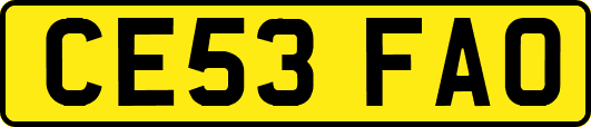 CE53FAO