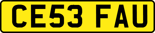CE53FAU