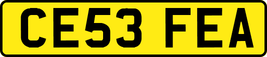 CE53FEA