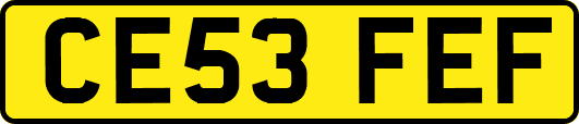CE53FEF