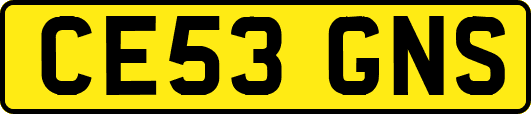 CE53GNS