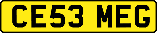 CE53MEG