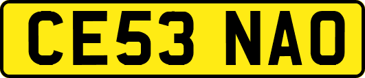 CE53NAO
