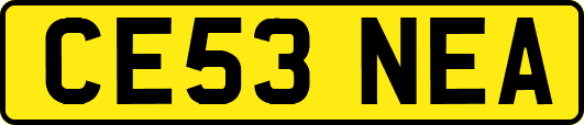 CE53NEA